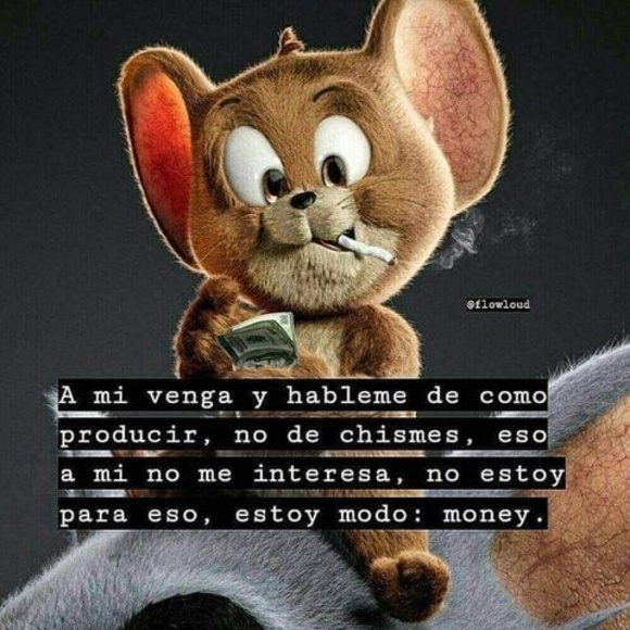 miguelvazque253